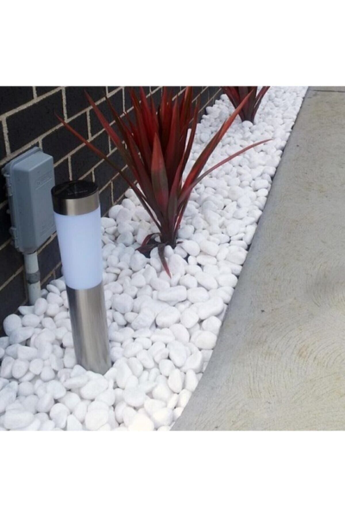 Beyaz Dolomit Taş 5 Kg 2-4 Cm Dere Çakıl Taşı Bahçe Süs Taşı Saksı Teraryum Taşı Akvaryum 20no. 4-5