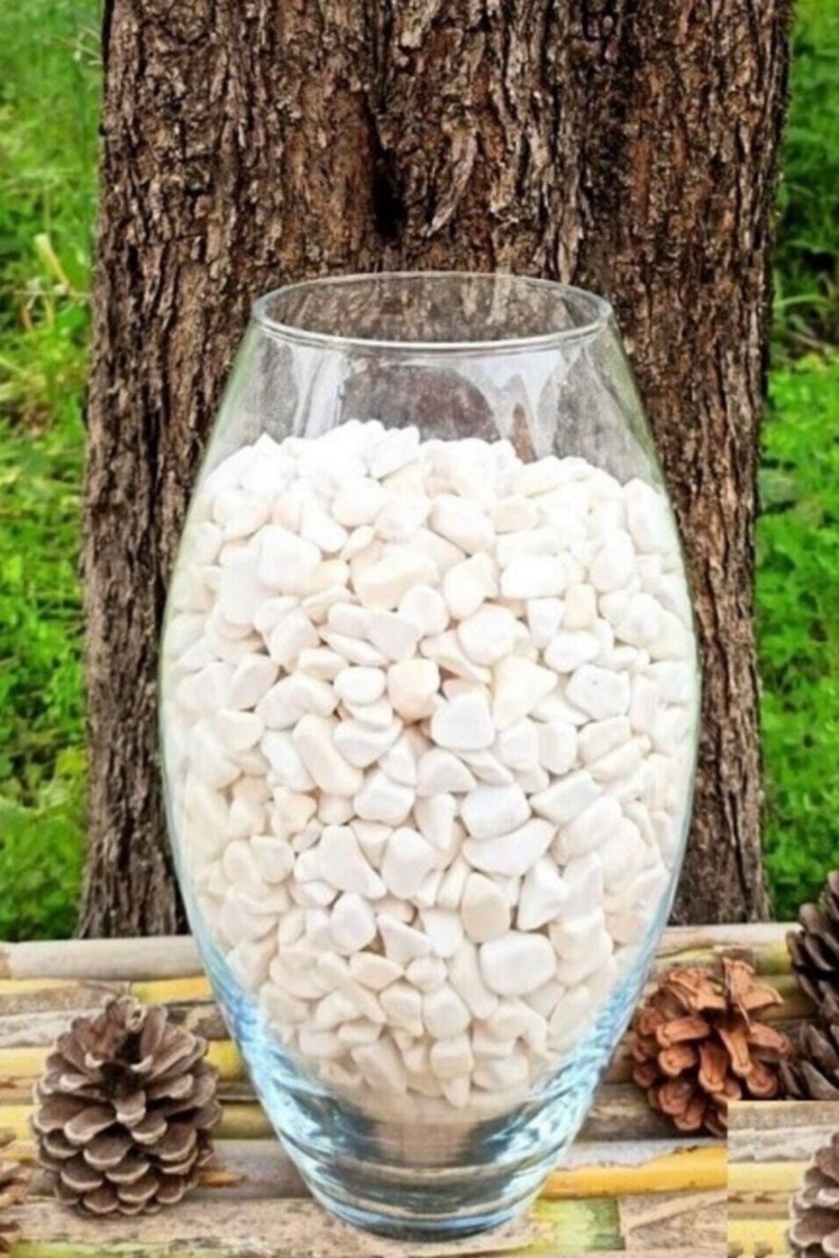 Cmdoğal Dolomit Taş 2 Kg 1-2 Cm Dekoratif Vazo Akvaryum Teraryum Taşı Beyaz.