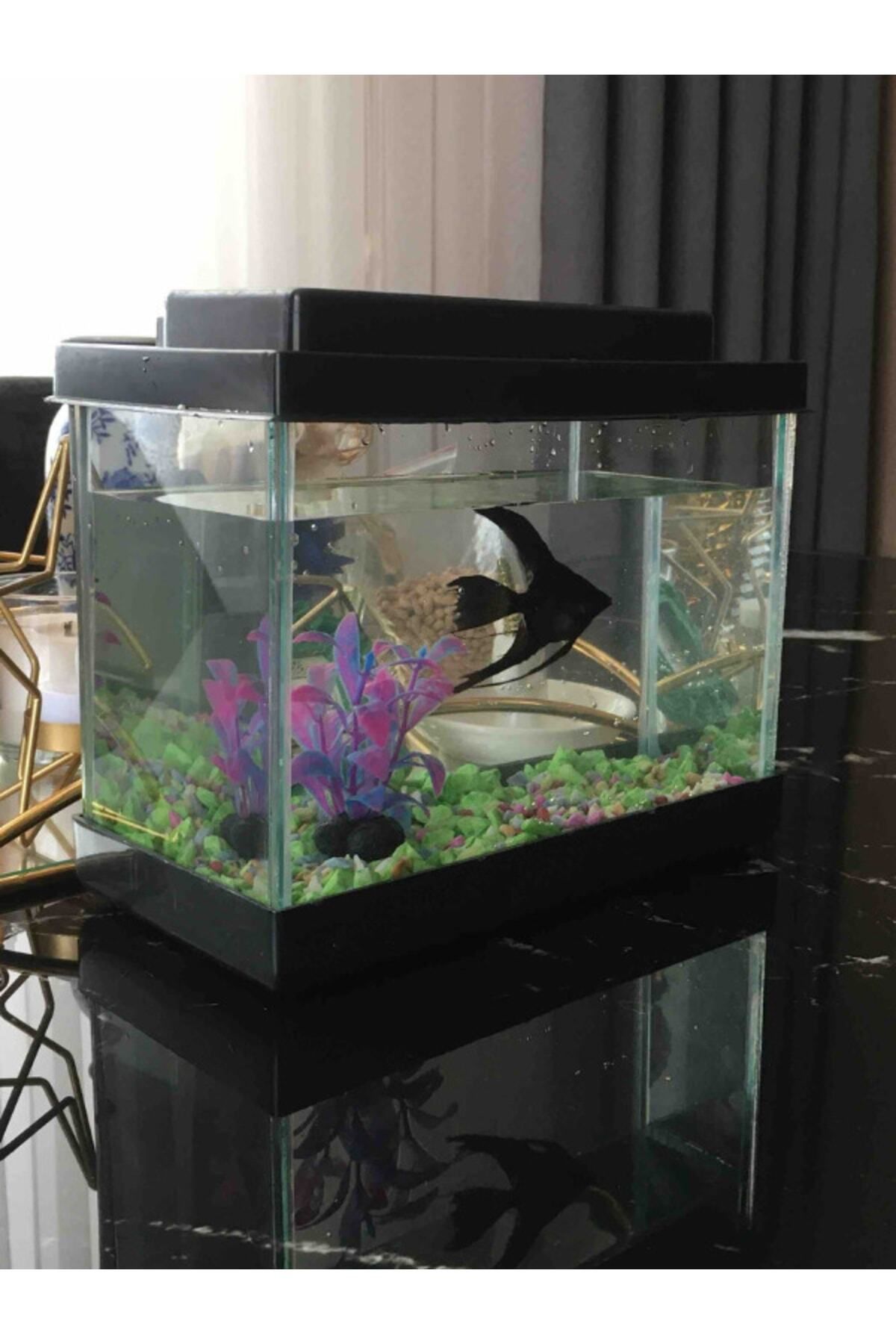 Ibrahimli Petshop Kucuk Akvaryum Aksesuarli Siyah 20 Cm 4 Litre